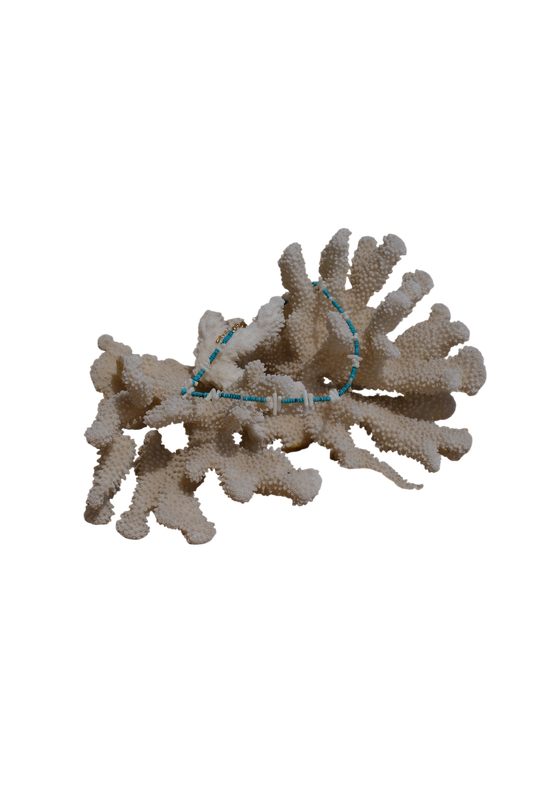 Corail